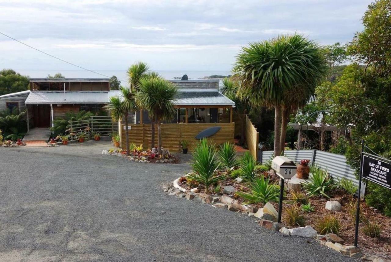 דירות Binalong Bay The Loft @ Bay Of Fires Seascape מראה חיצוני תמונה